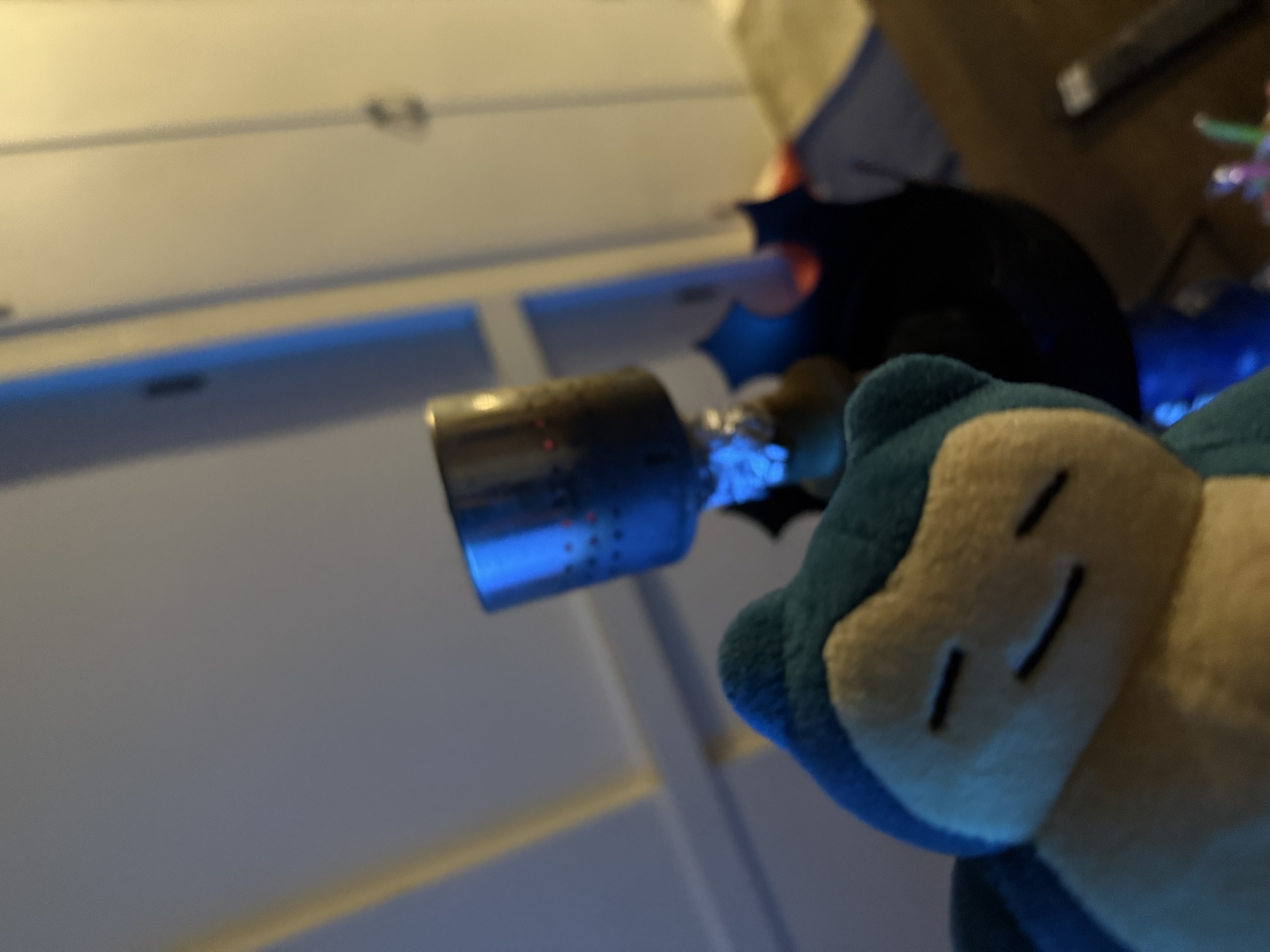 ミックスの写真