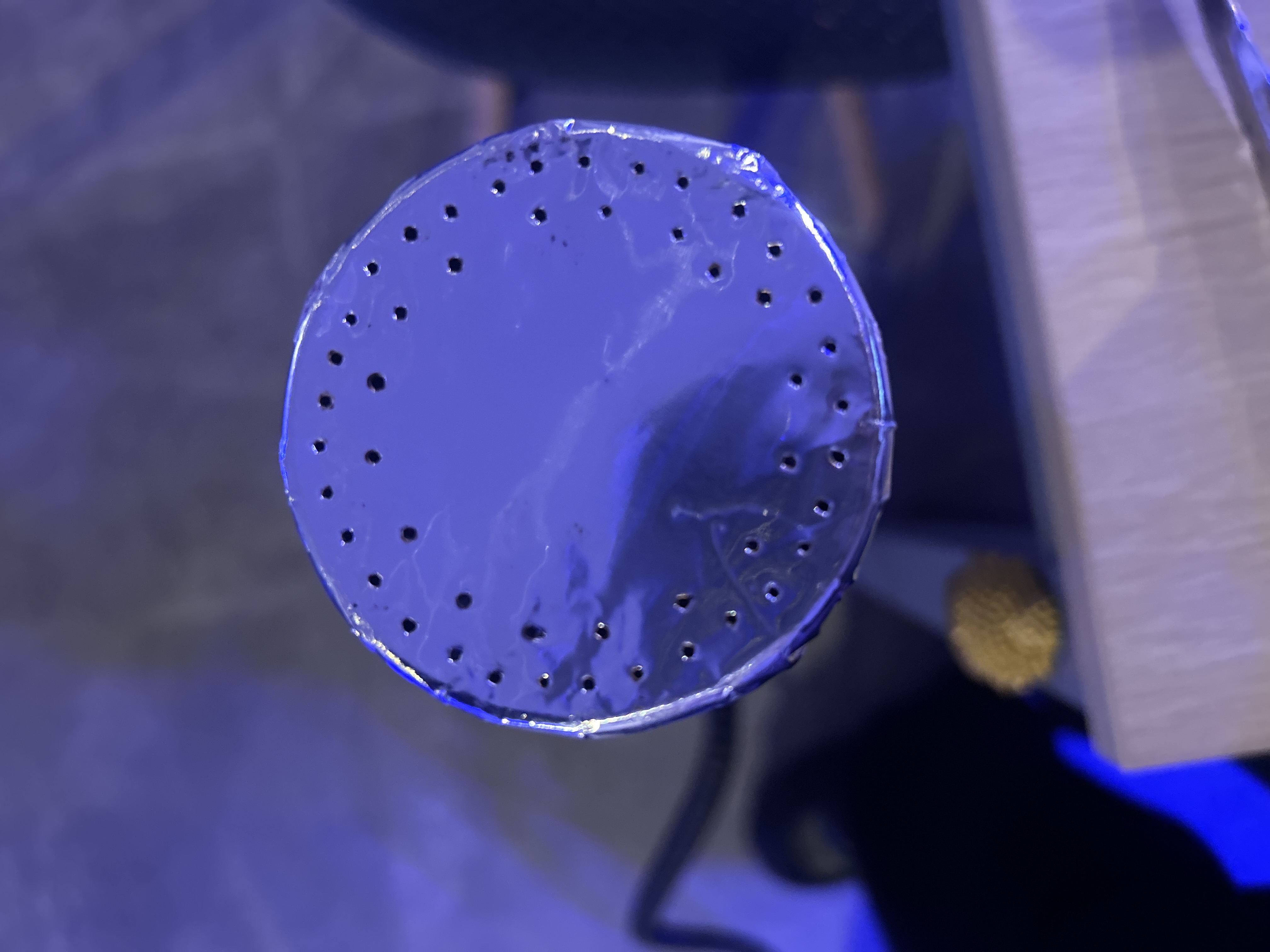 ミックスの写真