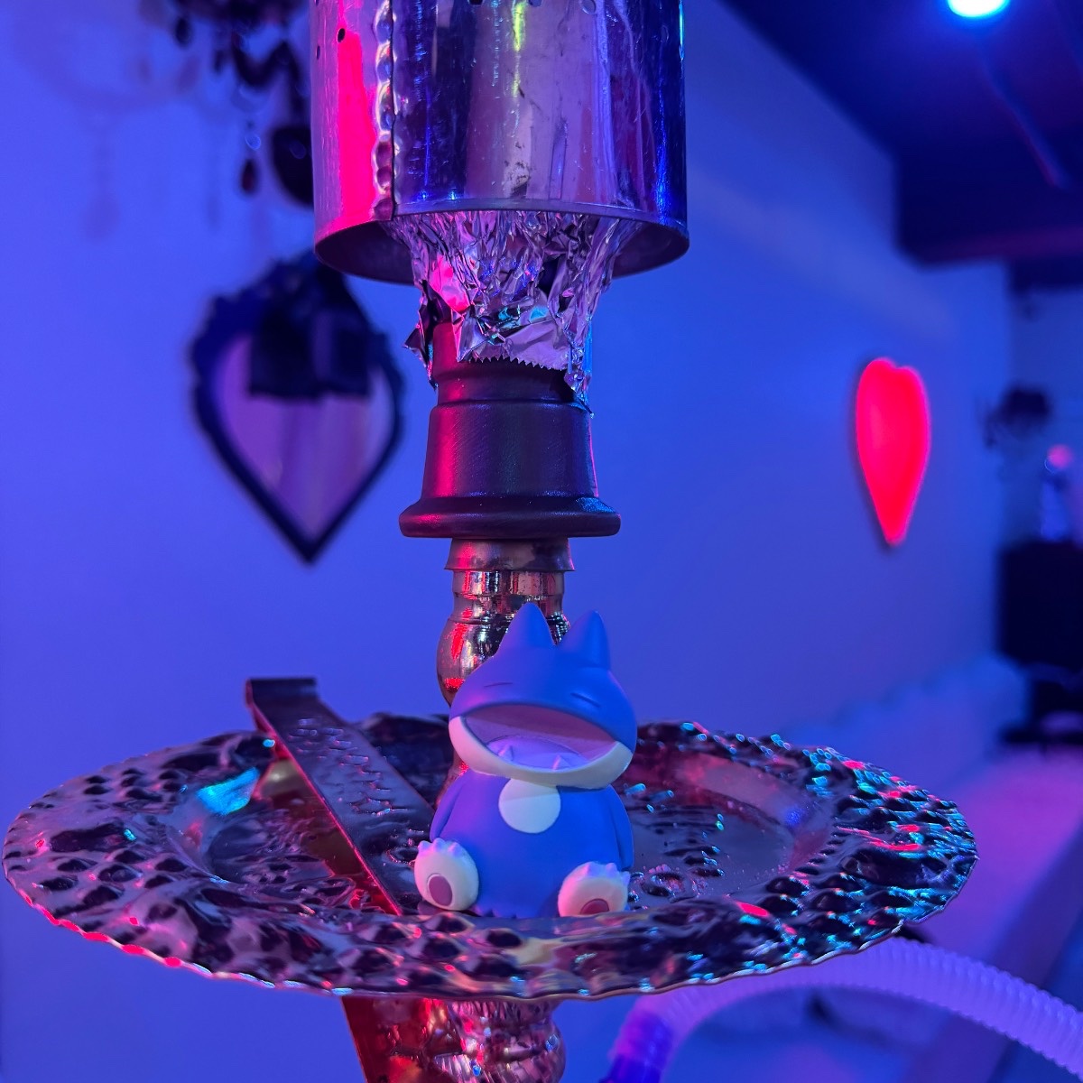 ミックスの写真