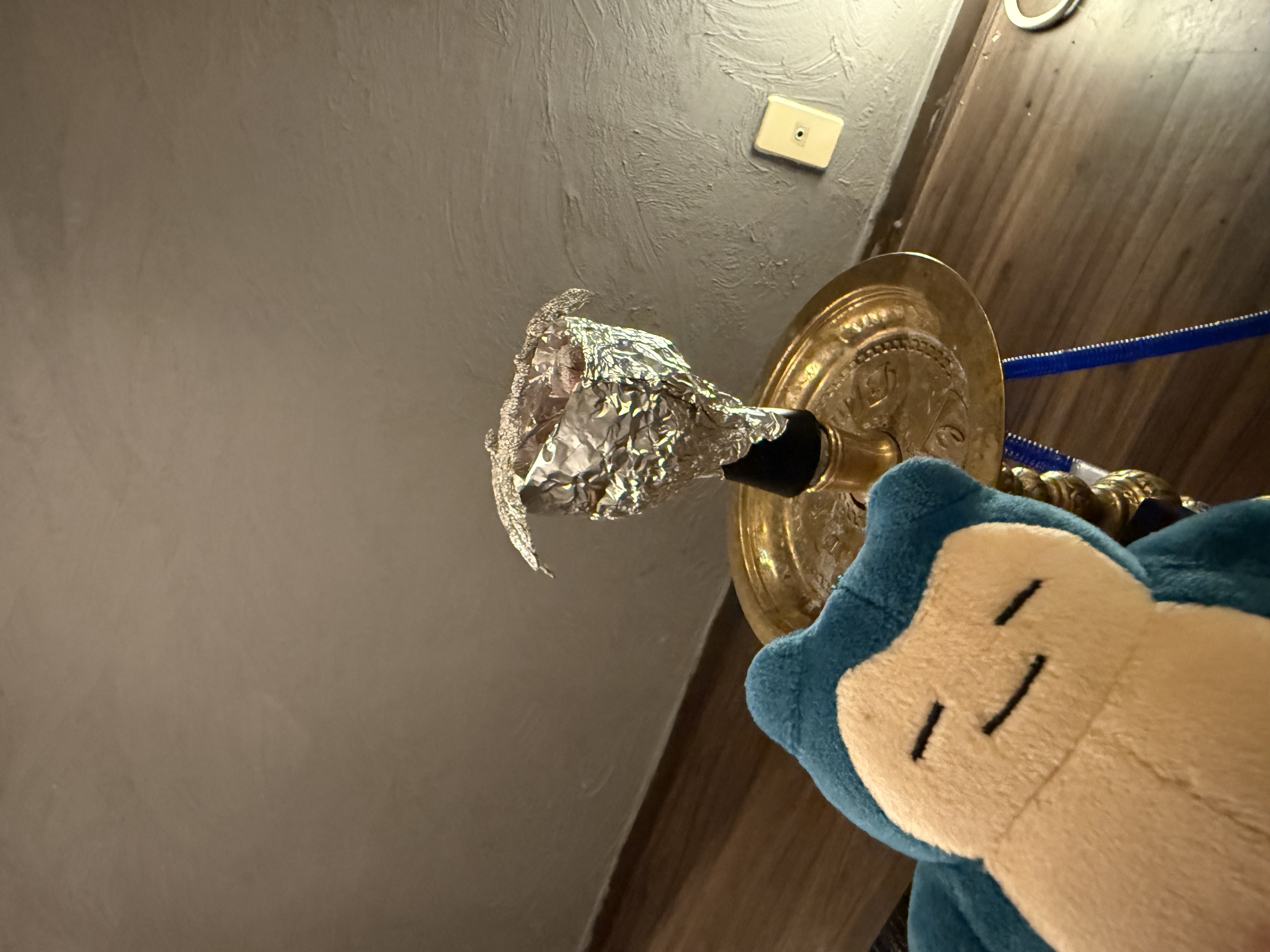 ミックスの写真