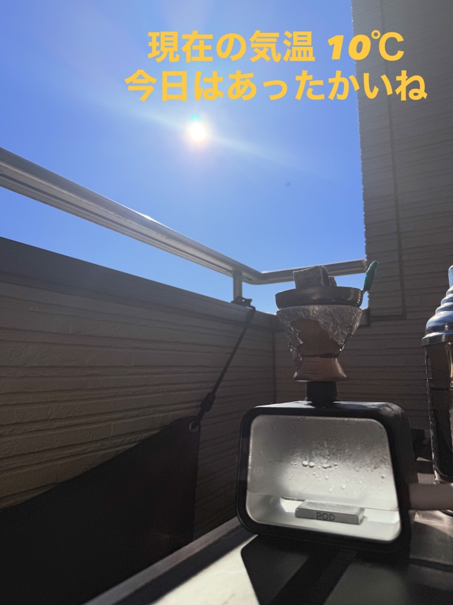 ミックスの写真