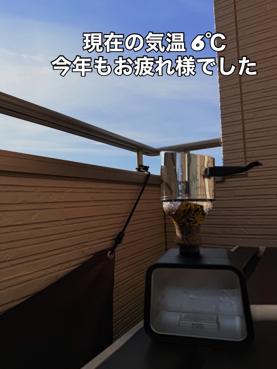 ミックスの写真