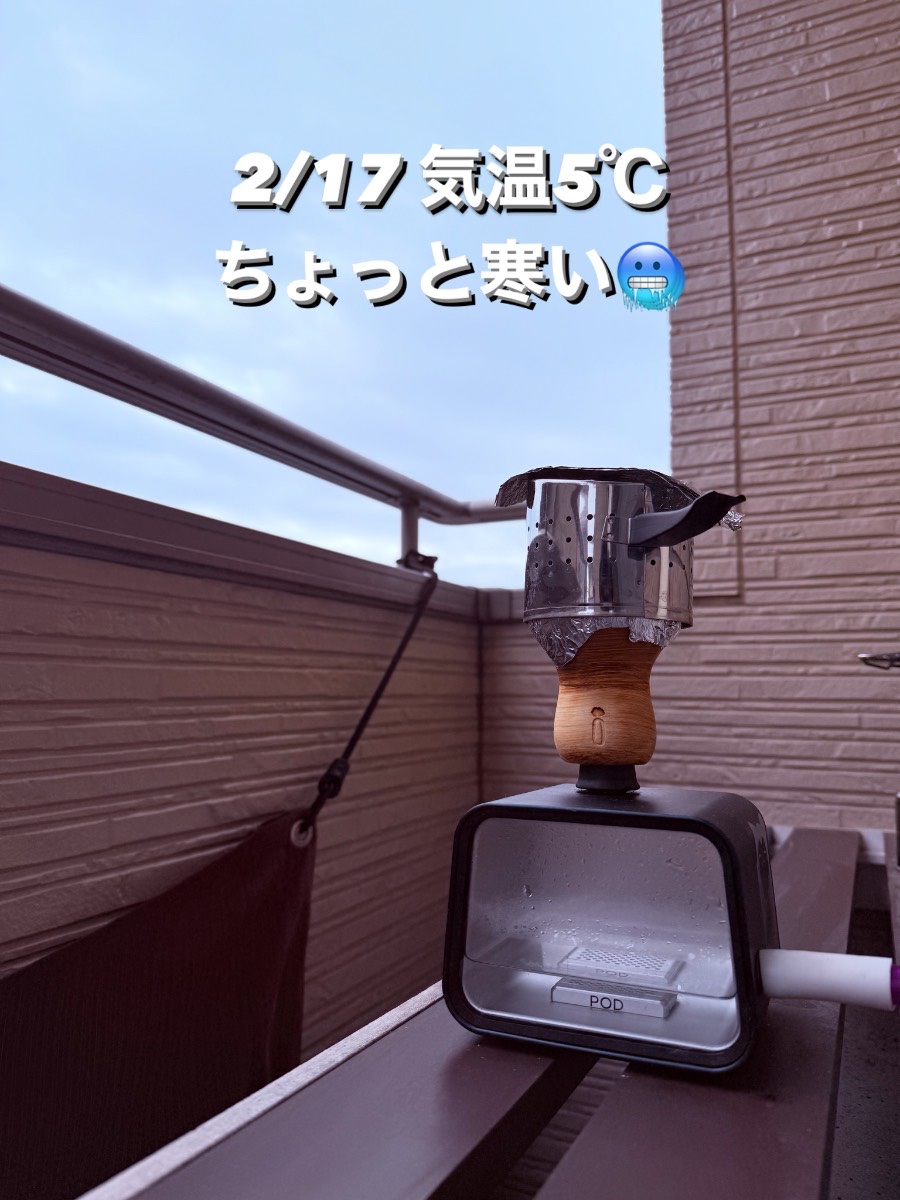 ミックスの写真