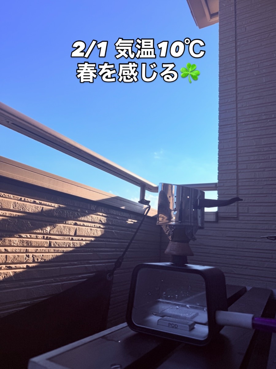 ミックスの写真