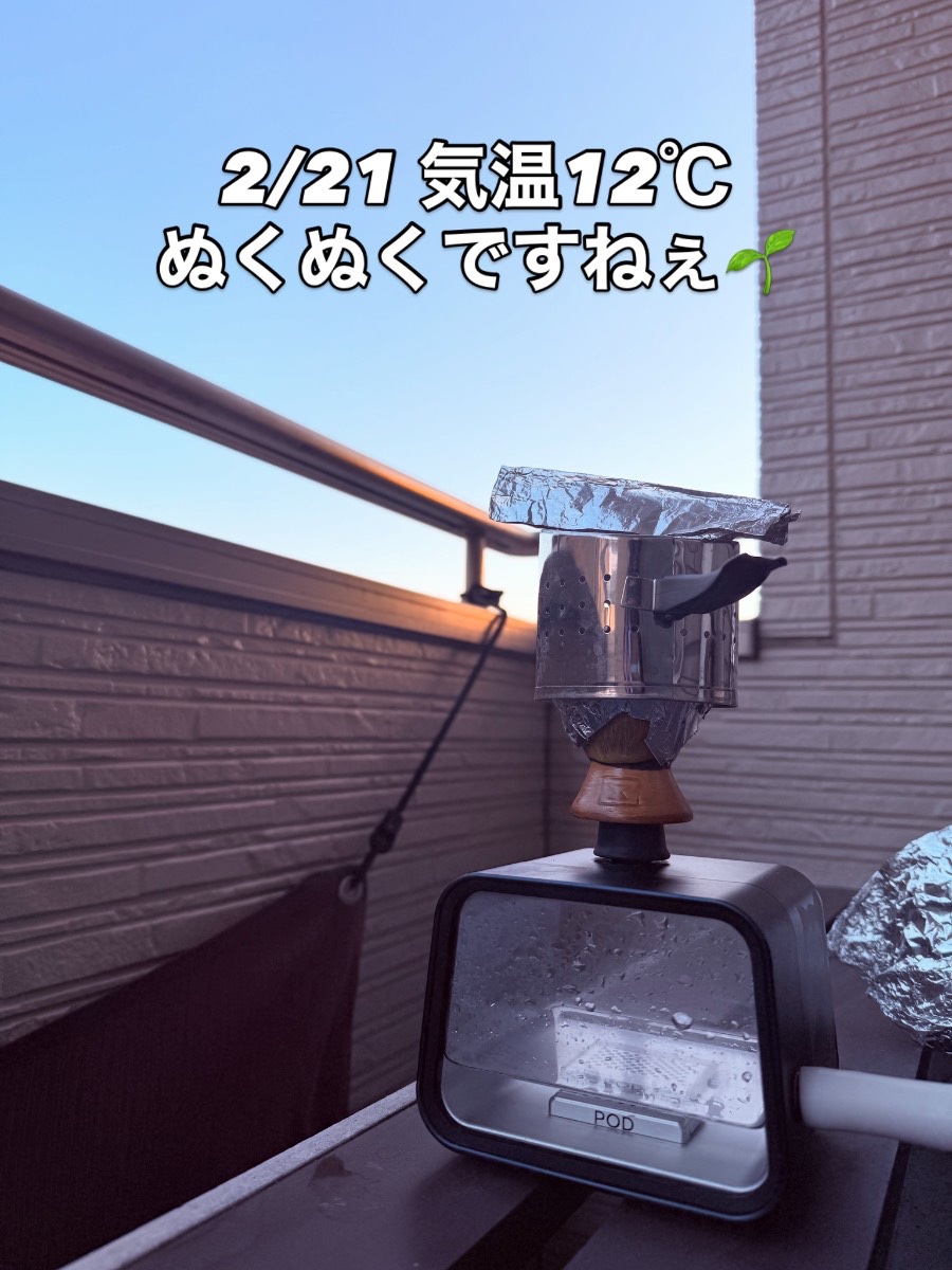 ミックスの写真