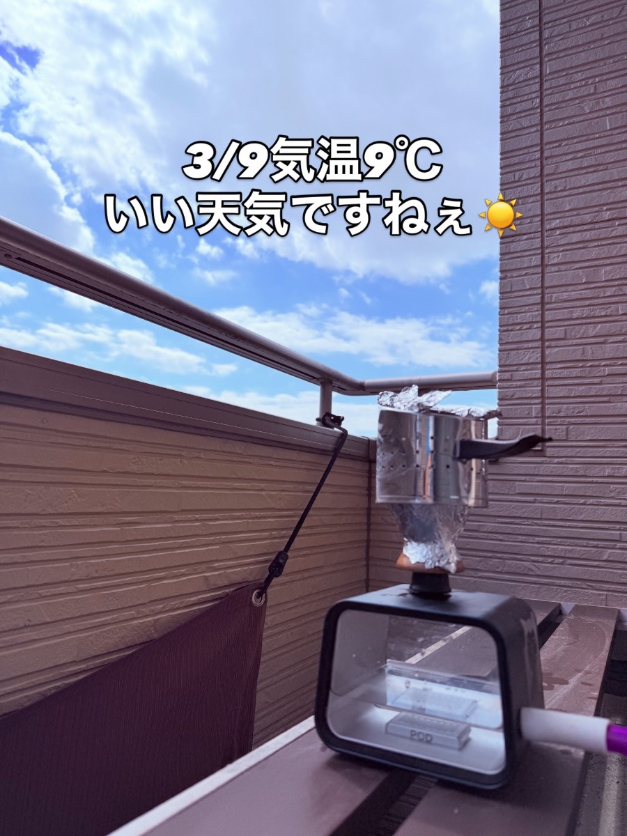 ミックスの写真