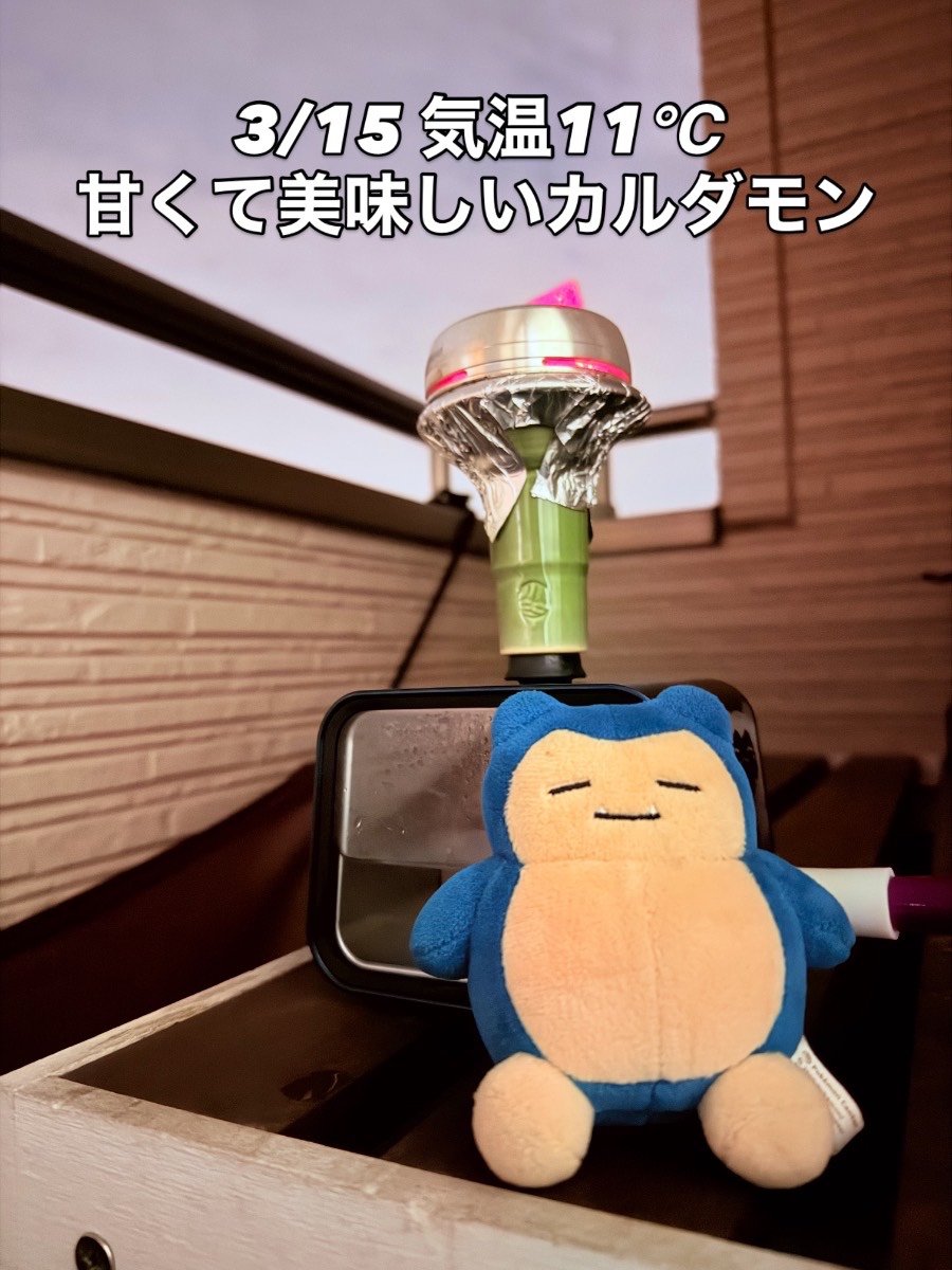 ミックスの写真