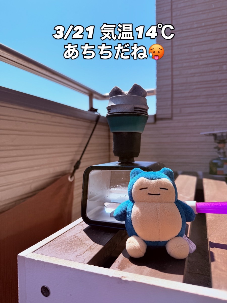 ミックスの写真