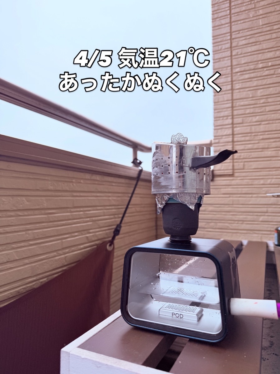 ミックスの写真