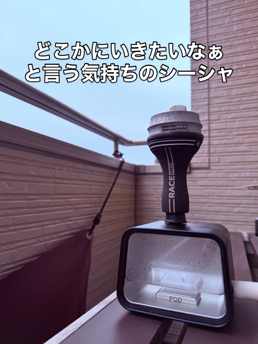 ミックスの写真 1