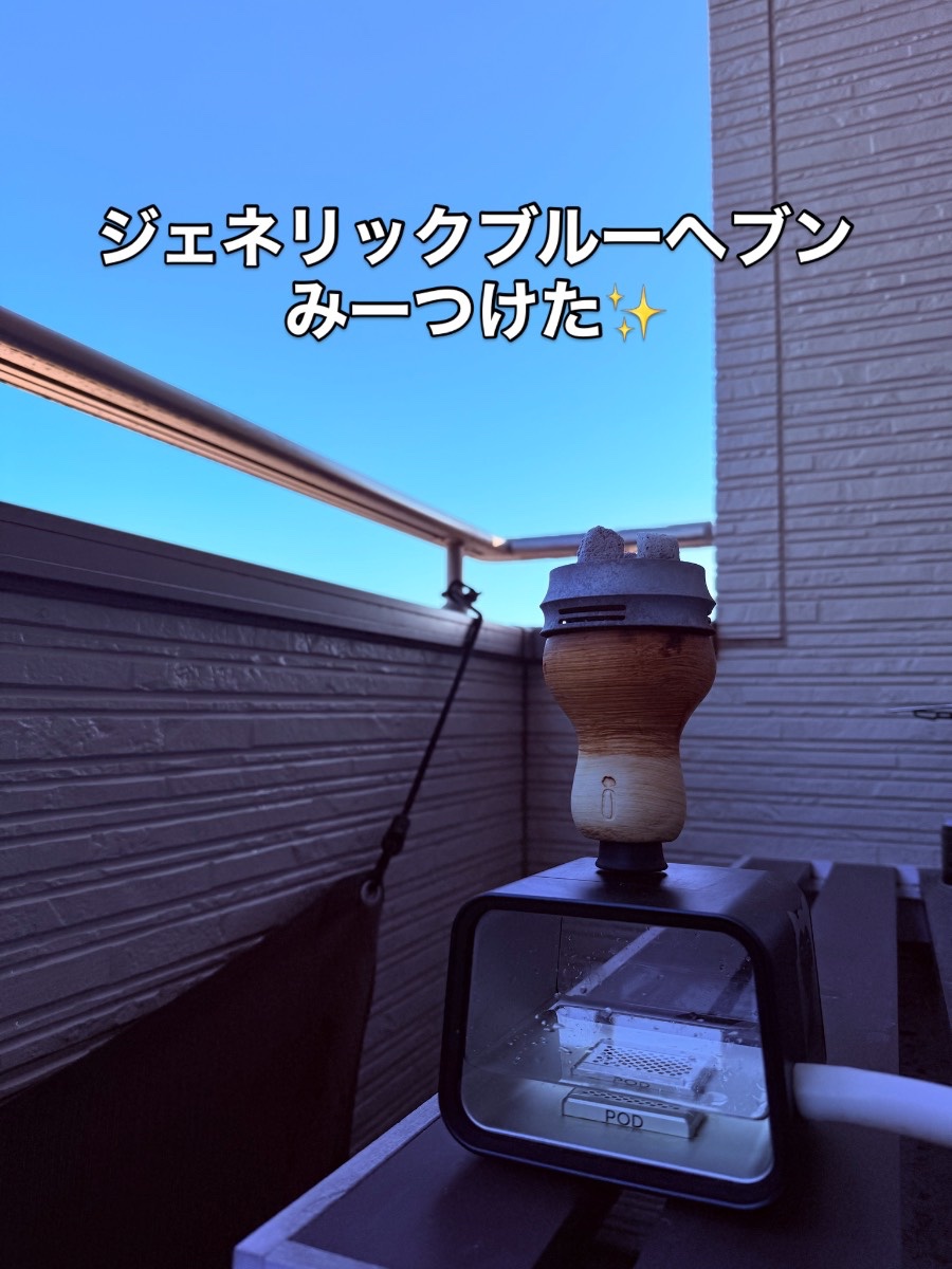 ミックスの写真 1