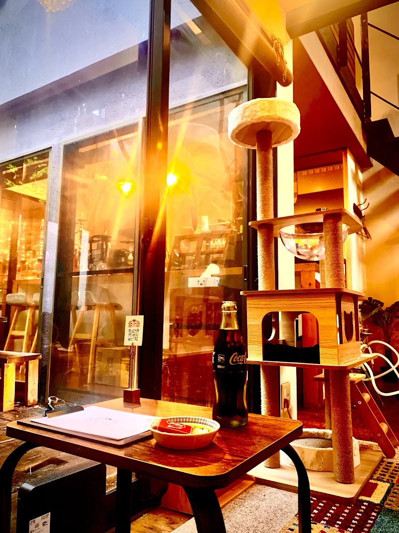 猫と水煙草(シーシャカフェ)