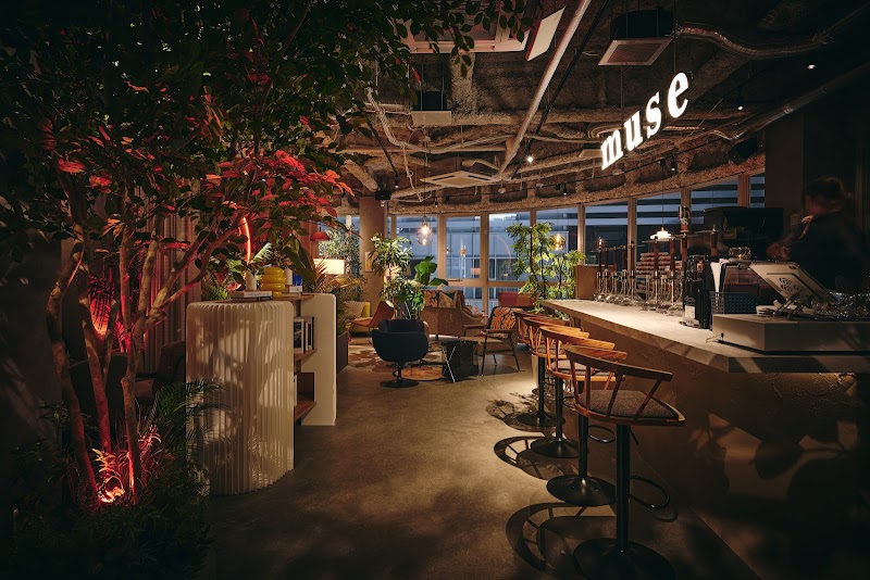 シーシャカフェ&バー muse/ミューズ 天王寺店(hookah lounge muse)