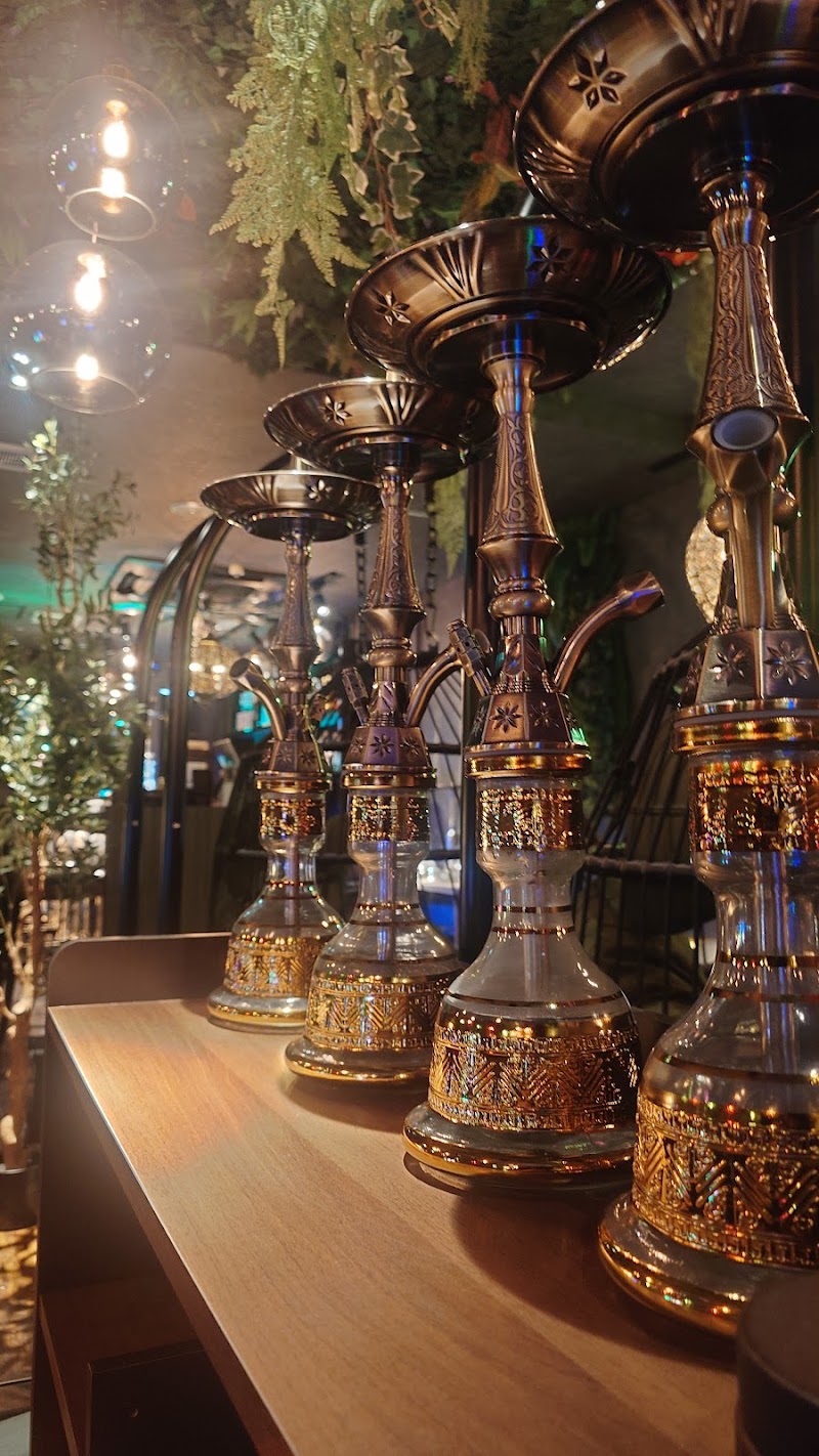 シーシャ カフェ&バー AppareShisha 札幌2号店