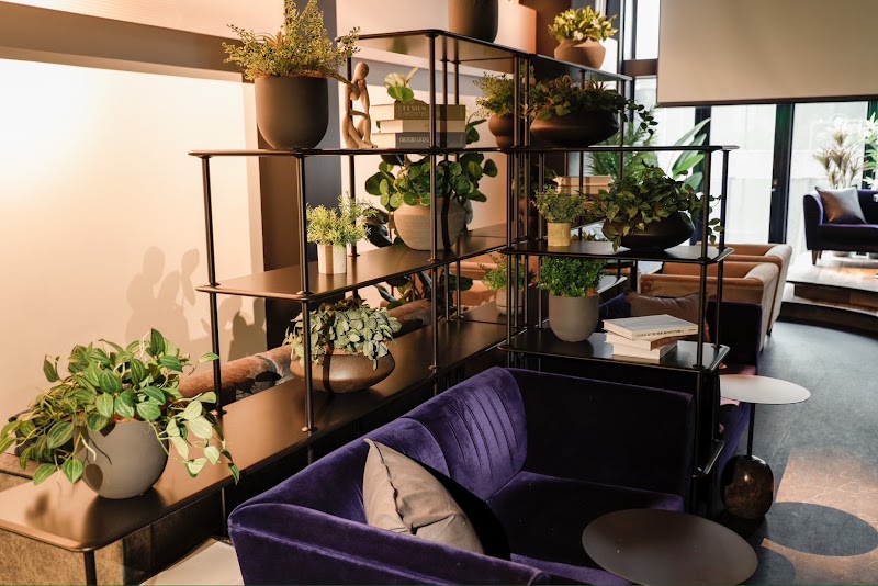 シーシャカフェ＆バー翠煙/スイエン 大阪難波道頓堀店 (shisha cafe & bar suien)