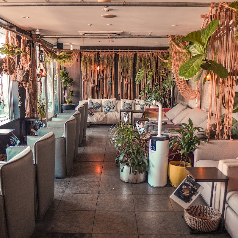 TRIBE Top Terrace -うえの水たばこ- 上野シーシャ