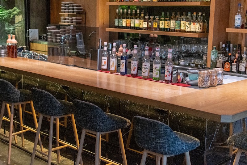 シーシャ Cafe&Bar DAYLIGHT 六本木店