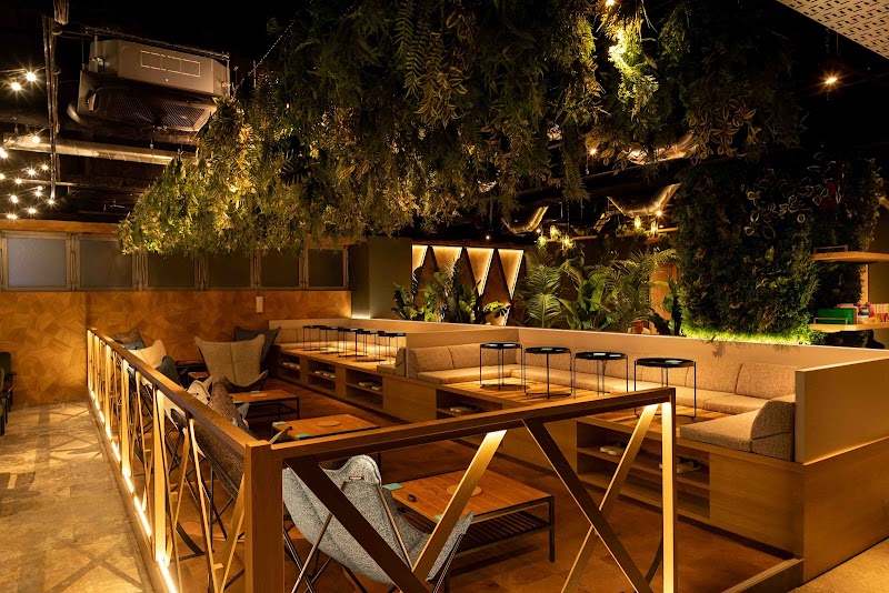 シーシャ カフェ&バー C.STAND シースタンド 横浜西口店