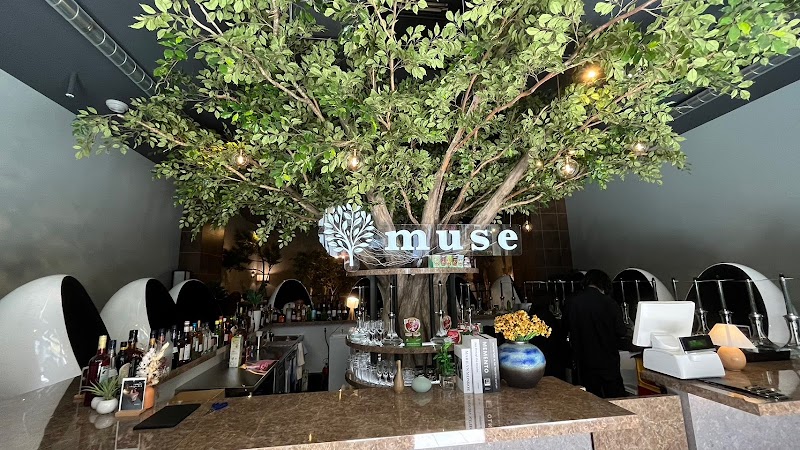 シーシャカフェ&バー muse/ミューズ 札幌店（hookah lounge muse）