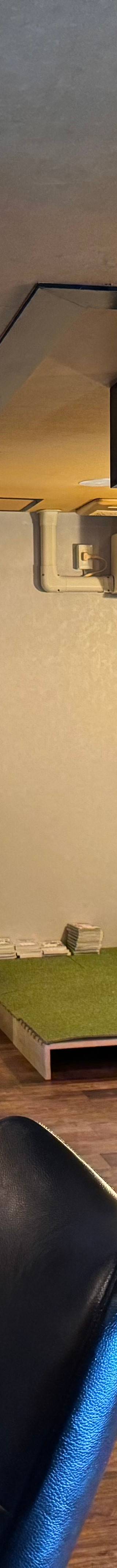 Cig Smoke Store シーシャと古着のお店 4