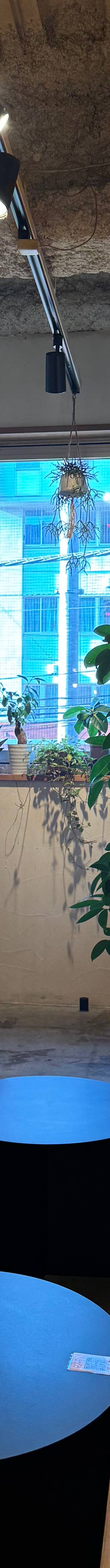 shisha&coffee polepole - 画像2
