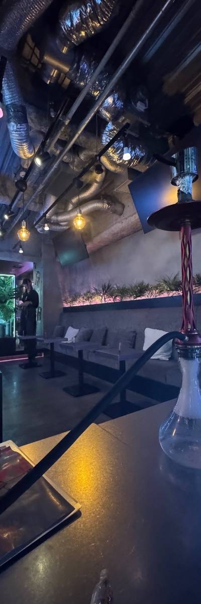 SingularityTokyo