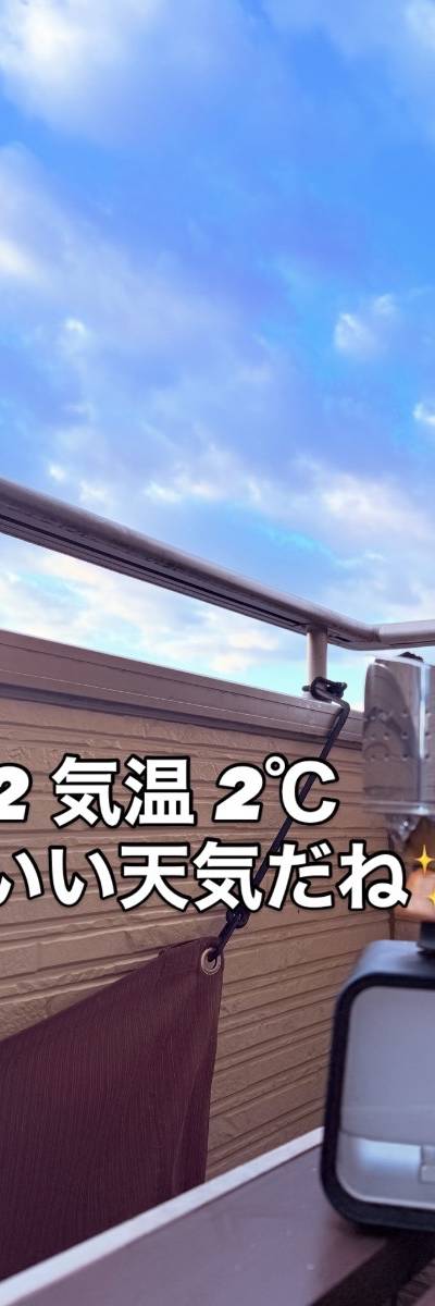 たまおのミックス