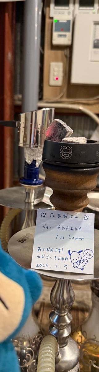 SHISHAPOND 1