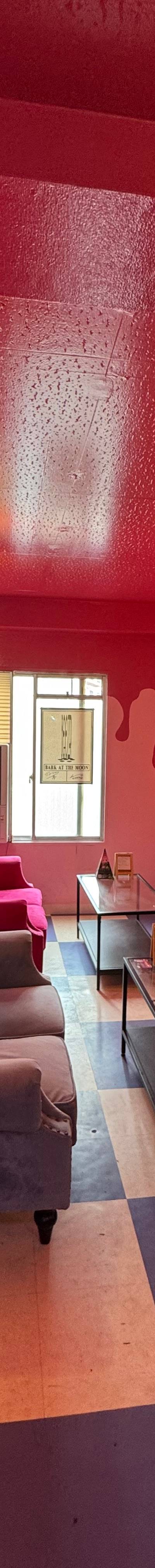 めうめうシーシャ/高円寺シーシャhookah - 画像5
