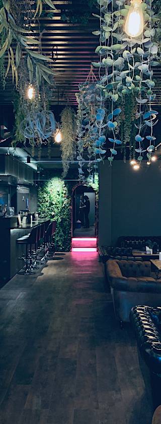 C.S.B なんば道頓堀店 シーシャカフェ&バー 難波 1