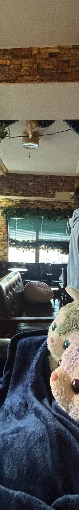 シーシャ屋はっち Shisha Lounge 高田馬場店 旧はちみつ帝国