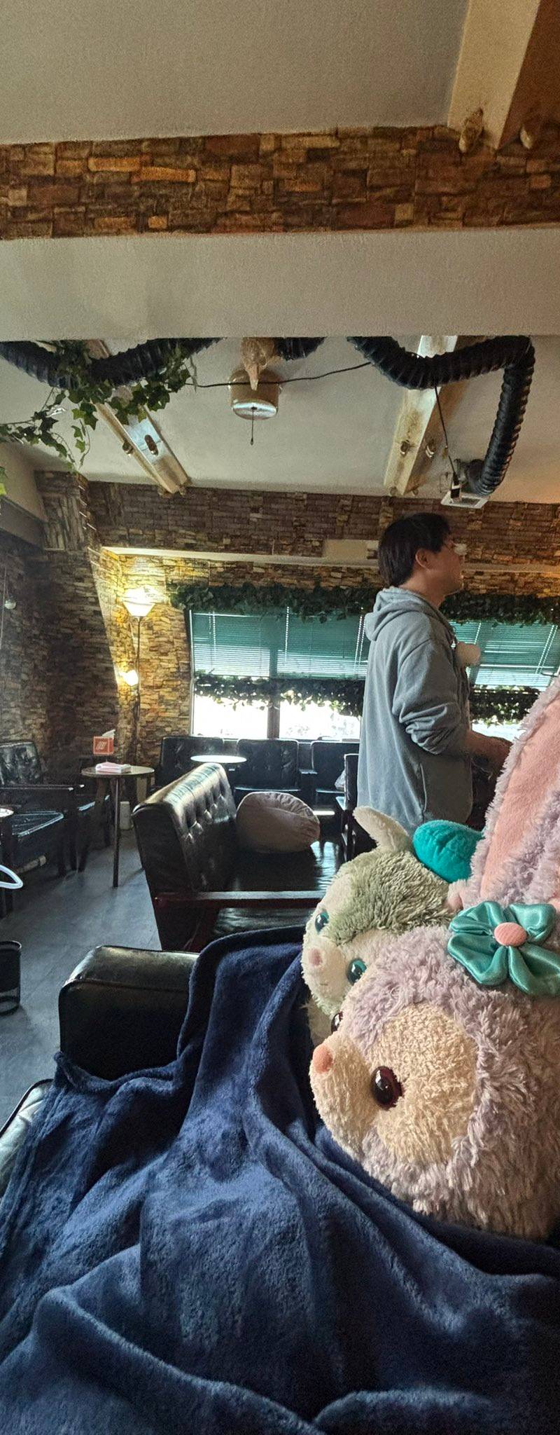 シーシャ屋はっち Shisha Lounge 高田馬場店 旧はちみつ帝国