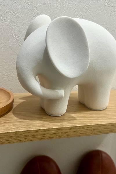 ぷーしゃん💨