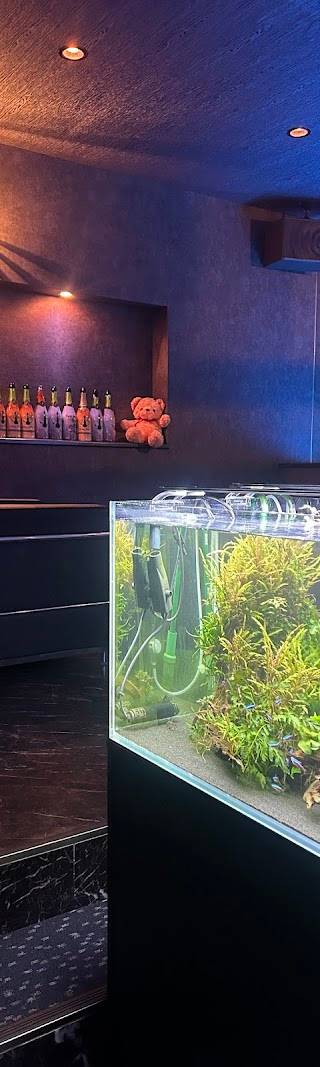 Bong Bros B