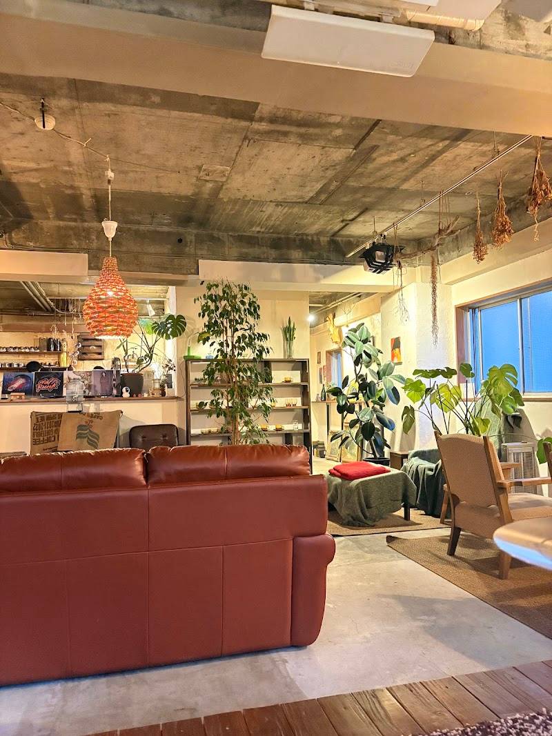 Cozy Studio BoaBASE