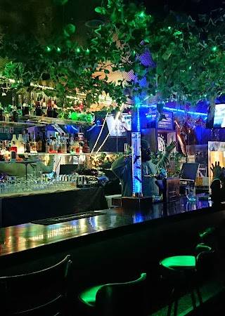 Shot Bar Lotus Eagle 1