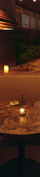 Shisha cafe＆bar CA6DEN（カルデン）六本木店