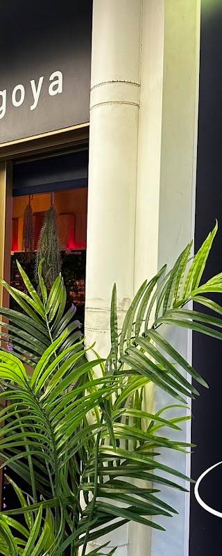 ドクターシーシャ名古屋