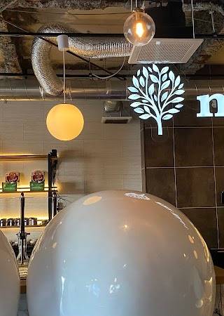 muse 横浜西口店