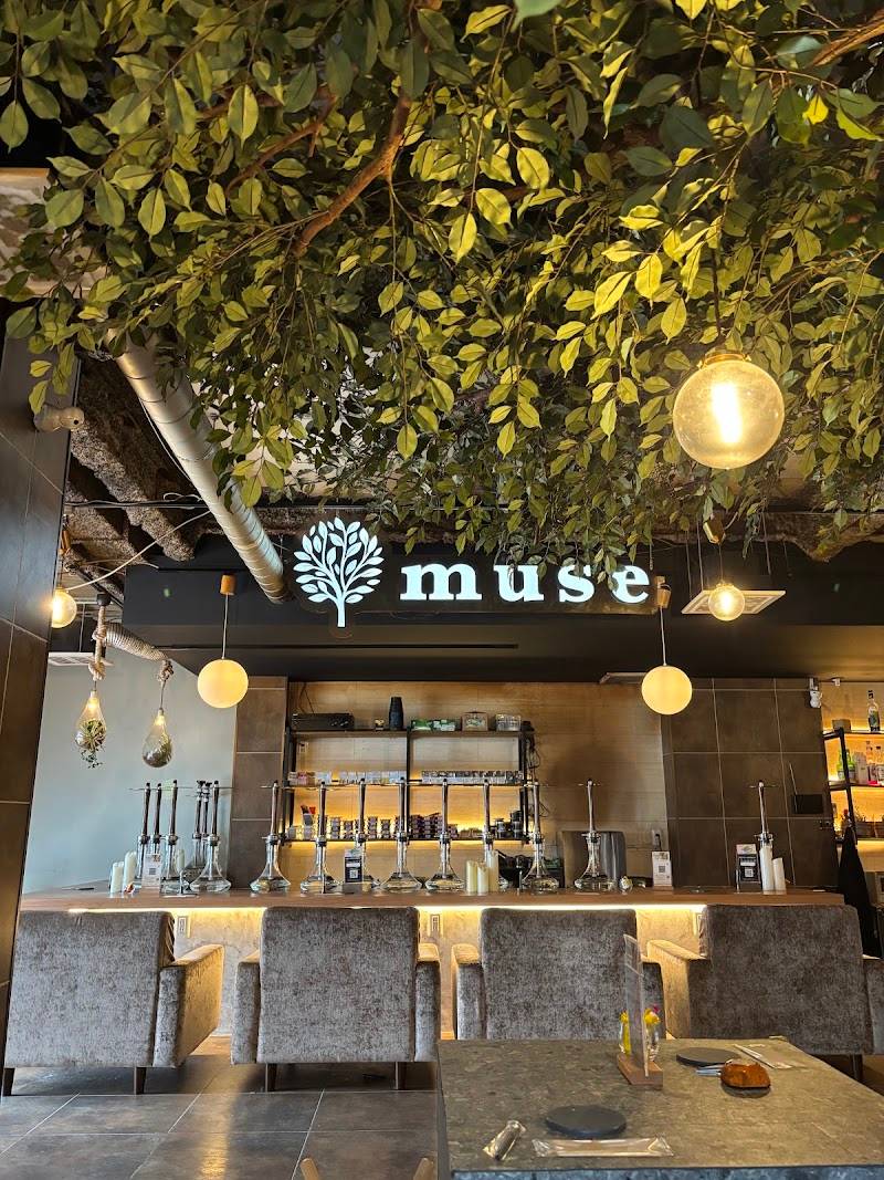 muse 横浜西口店