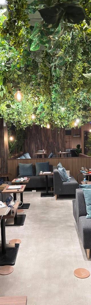 シーシャ カフェ&ピザ C.STAND(シースタンド) 熊本下通店