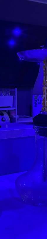 Shisha lounge moq(シーシャラウンジ モク)