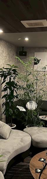 シーシャ喫茶 夜ナ夜ナノ。