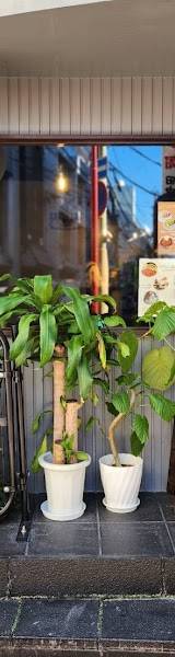 CHILL LOL cafe and shisha（チル ロール カフェ ＆ シーシャ）