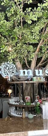 シーシャカフェ&バー muse/ミューズ 札幌店（hookah lounge muse）