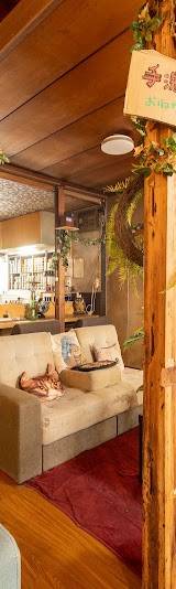 シーシャカフェばんびえん中野店