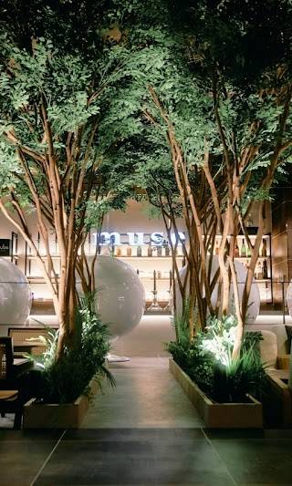 muse 大塚店